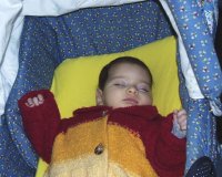 gal29.jpg (10741 bytes)